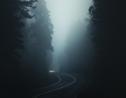 В работе Telegram произошел сбой