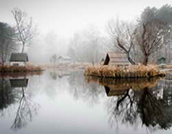 Доля рубля и юаня в российско-китайских коммерческих операциях превысила 90%  Путин