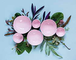 Vivo анонсировала новую ИИ-функцию камерофона X100s