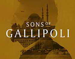 В Смоленске ввели ограничение скорости на Большой Советской улице