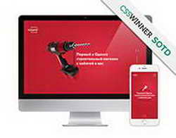 Как россияне тренируются онлайн: 60% спортсменов  женщины, самое популярное направление  фитнес