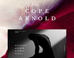 В Японии хотят разработать центр военного ИИ