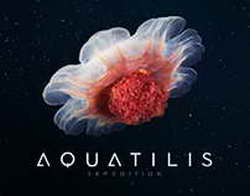 Стал известен статус Родри и Карвахаля после травм на тренировках сборной Испании